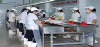 Vặt lông
