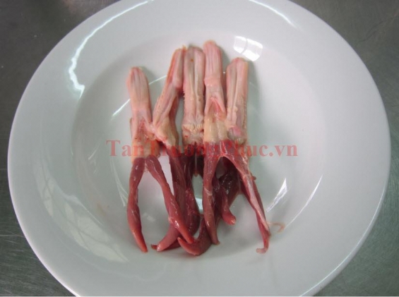 Lưỡi Vịt