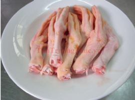 Chân Vịt