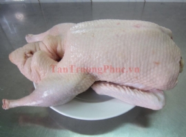 Bọng Vịt